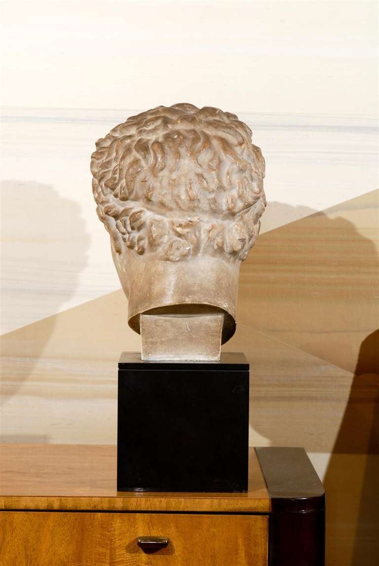19th Century Classical Roman Bust in Plaster on Black Stone Base 4