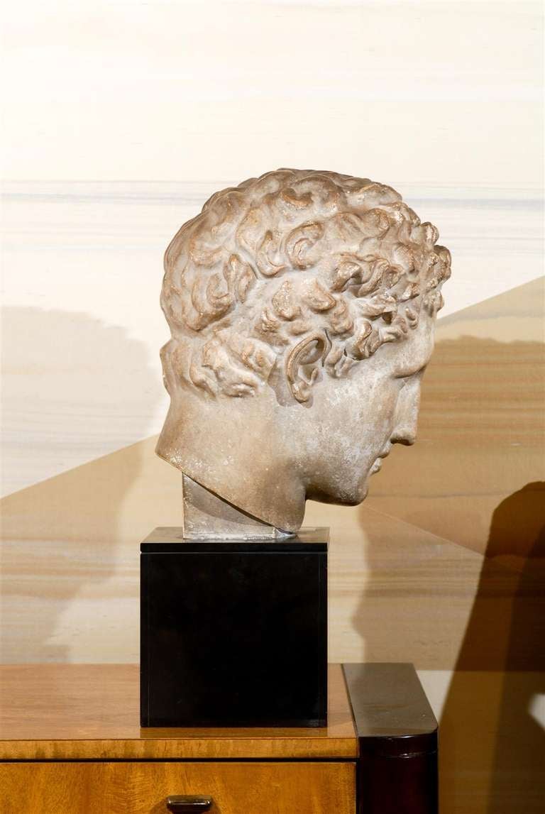 19th Century Classical Roman Bust in Plaster on Black Stone Base 1