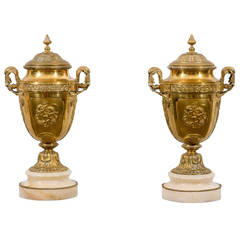 Pair of Gilded Bronze Urns on Marble Bases 1