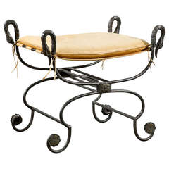 Directoire Style Bench in Iron With Bronze Mounts and Bronze Swan Head Motif In the Style of Jansen