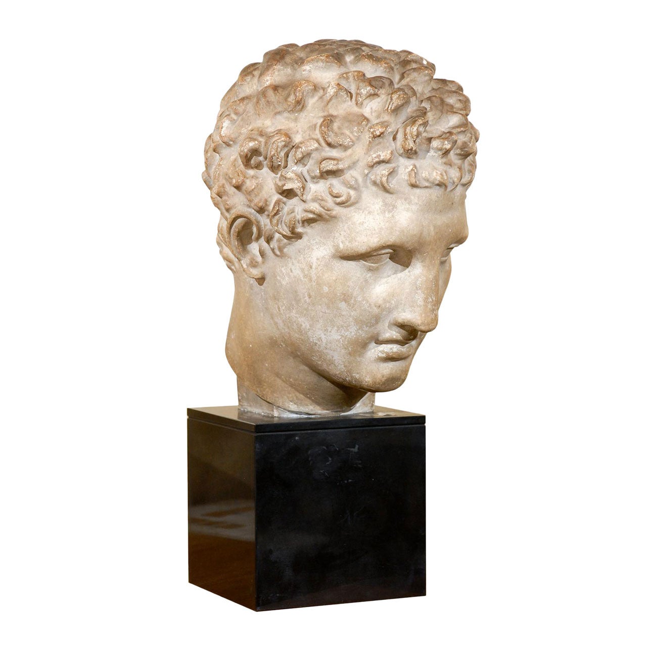 19th Century Classical Roman Bust in Plaster on Black Stone Base