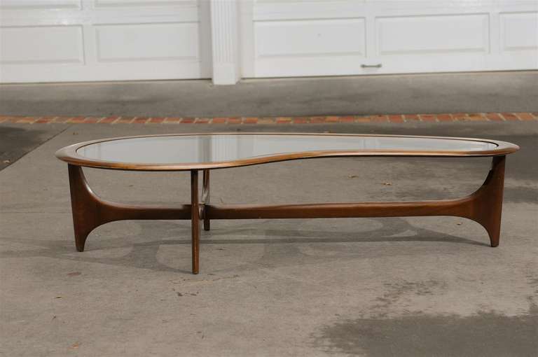 A Beautiful and Rare walnut and glass Amoeba coffee table by Lane, circa 1960's. A very Warm and Modern piece.  Absolutely Gorgeous ! Excellent Vintage Condition. TOM ROBINSON MODERN at TRAVIS & COMPANY