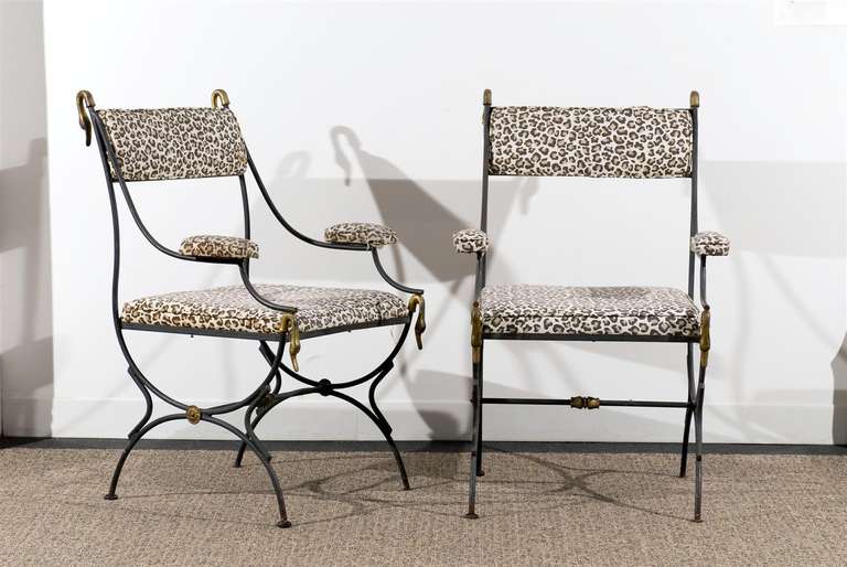 Very chic pair of Directoire style iron chairs with brass swan head finials and accents