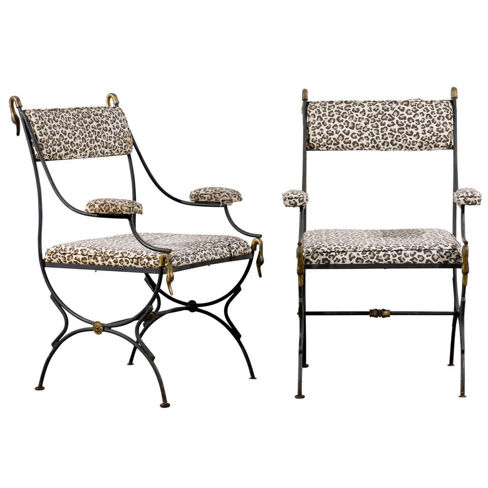 Pair of Directoire Style Armchairs in Iron and Brass