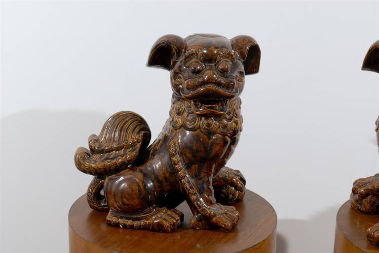 Pair of Brown Glazed Chinese Foo Dog Sculptures In Excellent Condition In Atlanta, GA