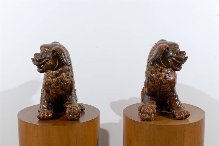 Pair of Brown Glazed Chinese Foo Dog Sculptures 1