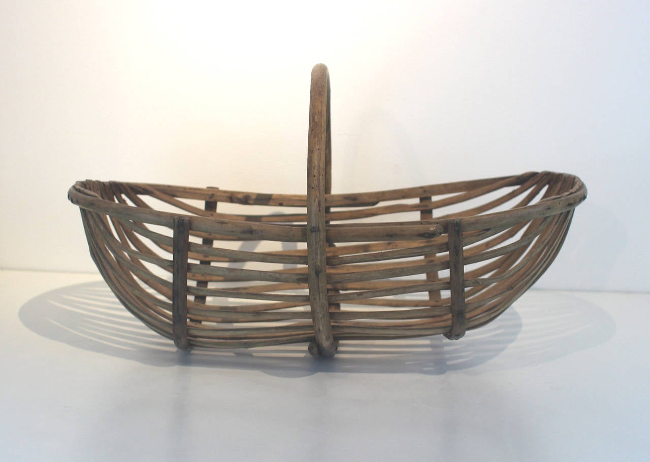 Skeletal bentwood harvest basket, nice solid form; French, early 20th century. Very sturdy and with excellent mellow color.