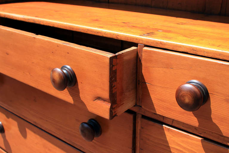 American Long Leaf Pine Double Chest, circa 1850 1