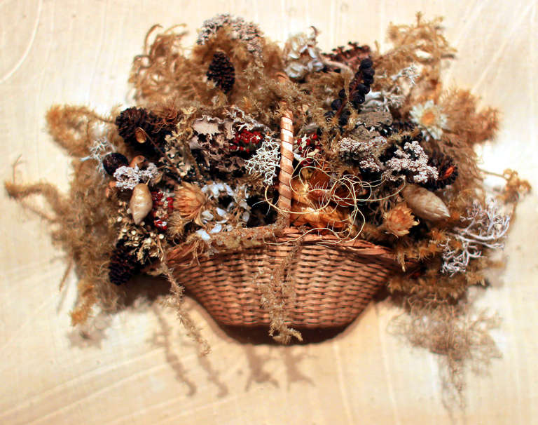 A lovely delicate arrangement of dried flowers and moss in a little woven basket, suspended in a walnut dovetailed frame and behind old blown glass. A splendid mid-19th century example.