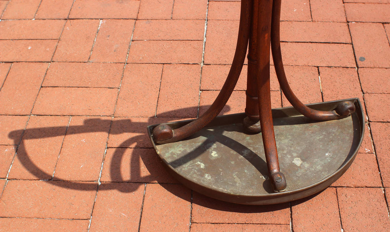 19th Century Bentwood Umbrella Stand For Sale
