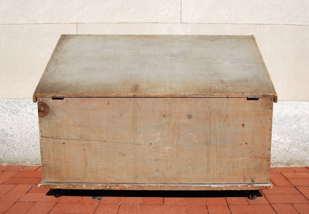 Rare Under-Eaves Painted Blanket Chest 3