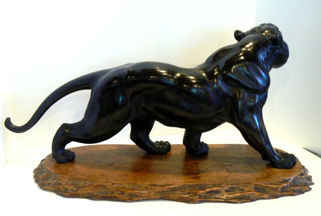 Striking, muscular and a ferocious bronze lion from the Meiji Period (Japan 1860-1912. Without markings or scratches to surface of any kind, in pristine condition. Striking lines and rich ebony luster.