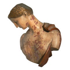 Classical Male Bust with Partial Shield