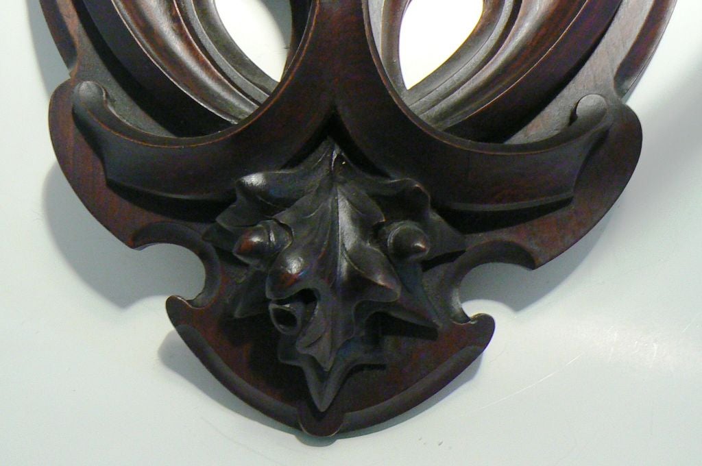 Black Forest Antler Mounted on Chestnut Plaque