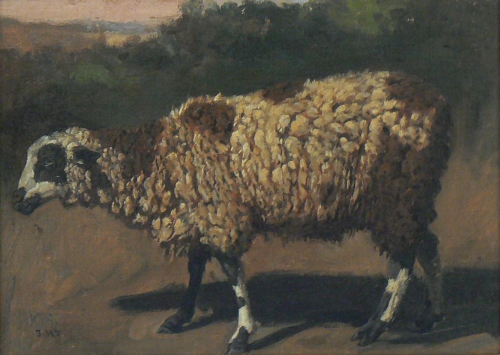 "Lone Sheep" Original Oil Painting by J.M.T.