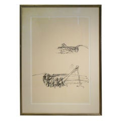 Grasshopper  Pen and Ink Drawing