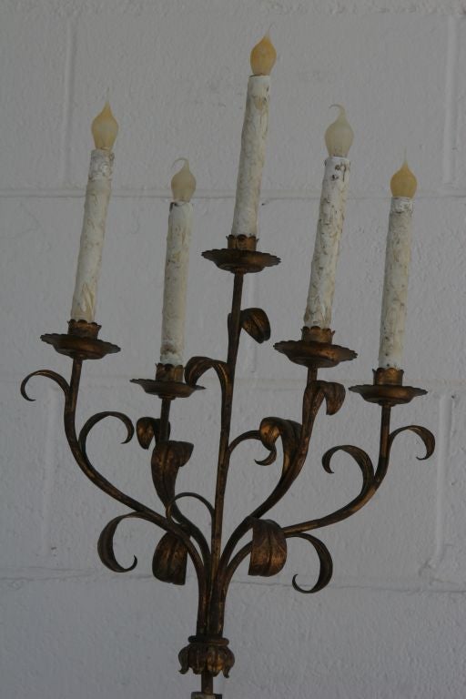 A pair of softwood Venetain Blackamoor Torcheres , beautifully carved and decorated in gold metal gilt leaves around the upper candlearbra. They are great antique examples, being quite rare to find today. These candlearbra torcheres are a fantastic
