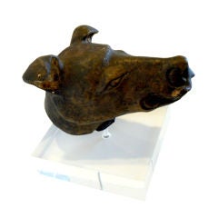 Boarhound Head  (Tang Dynasty)