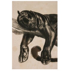 Paul Jouve Black Panther Engraving, France, circa 1929-1931