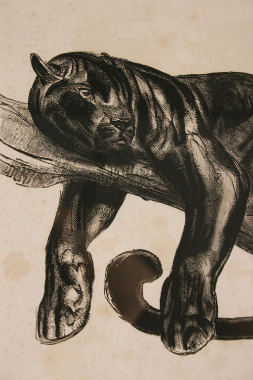 Black panther engraving by Paul Jouve. Dimensions: 10 H x 10 D inches, frame 21 H x 15 D inches.