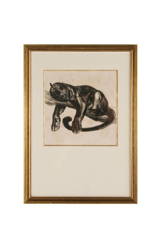 Art Deco Paul Jouve Black Panther Engraving, France, circa 1929-1931