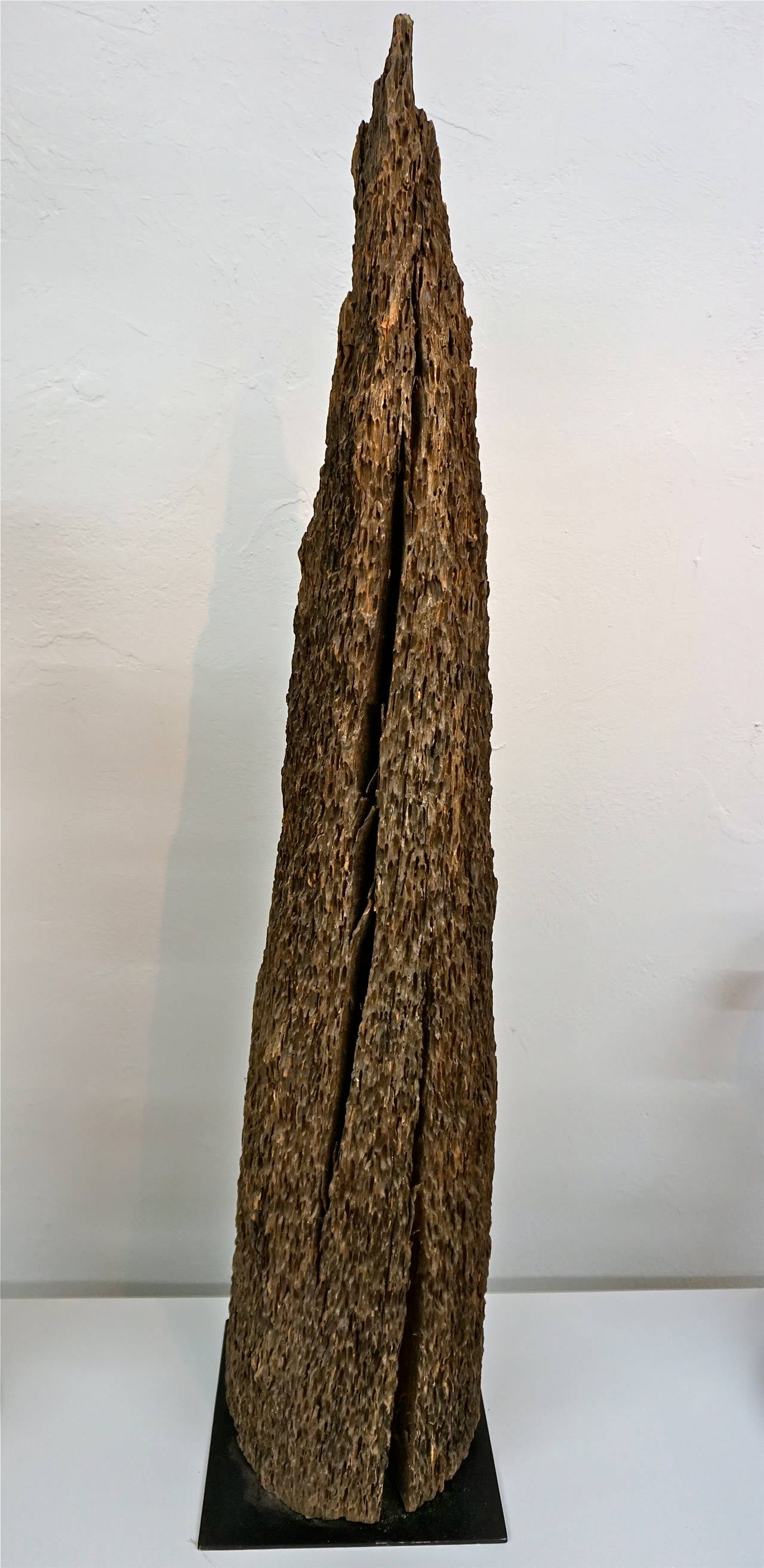 Dessicated Ironwood Sculpture 3