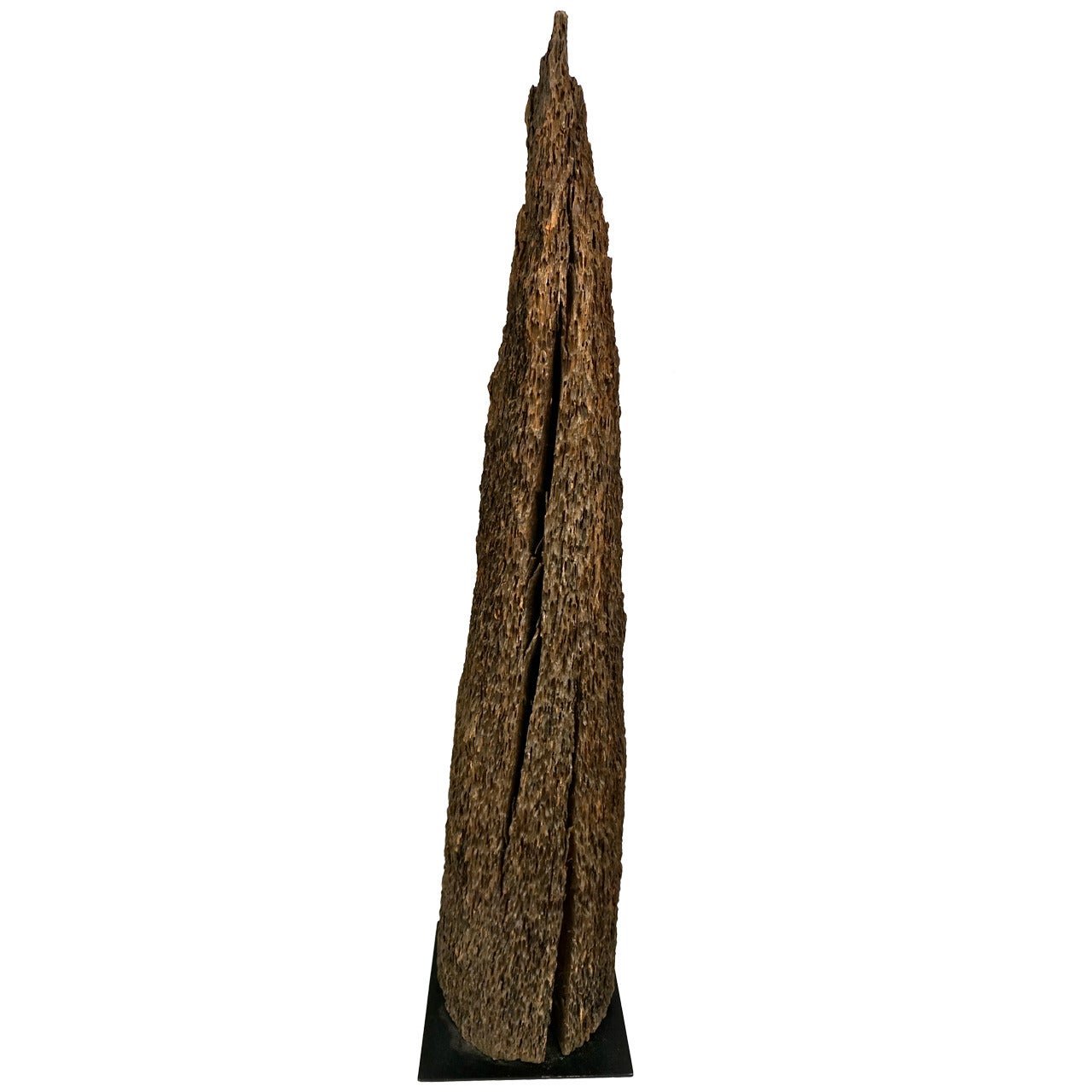 Dessicated Ironwood Sculpture