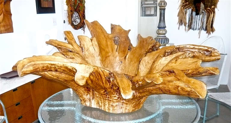 Beautiful as a sculpture or a tabletop bowl.This organic piece measures 54