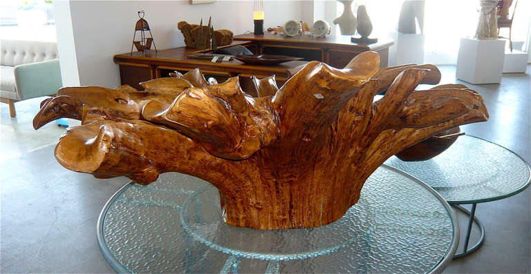 Modern Outstanding Large Phillipine Molave Burl Centerpiece