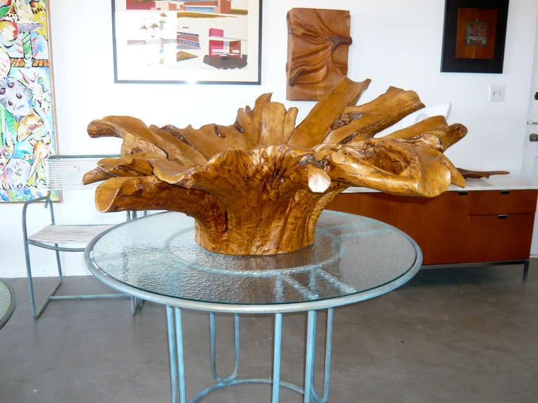 20th Century Outstanding Large Phillipine Molave Burl Centerpiece