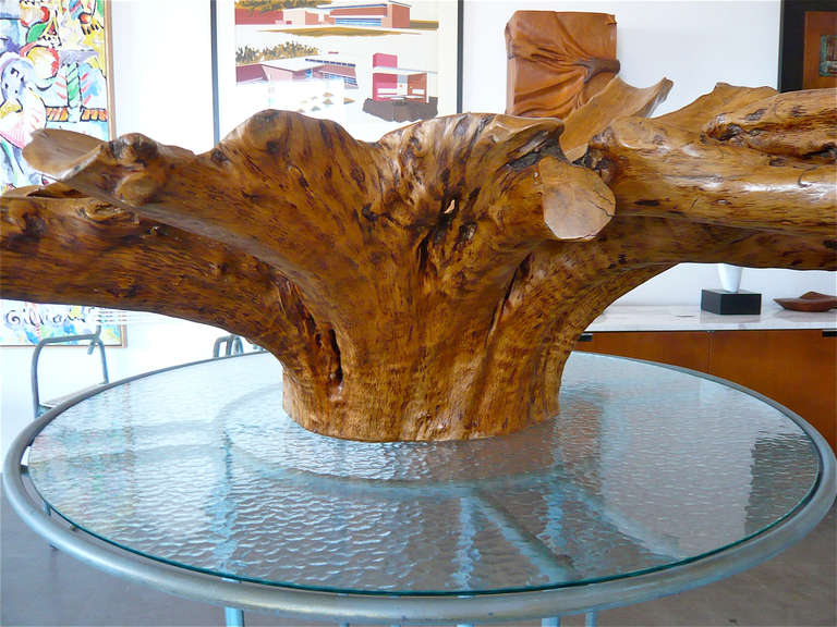 Outstanding Large Phillipine Molave Burl Centerpiece 1