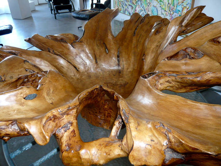 Outstanding Large Phillipine Molave Burl Centerpiece 2