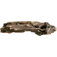 Petrified Yule Log