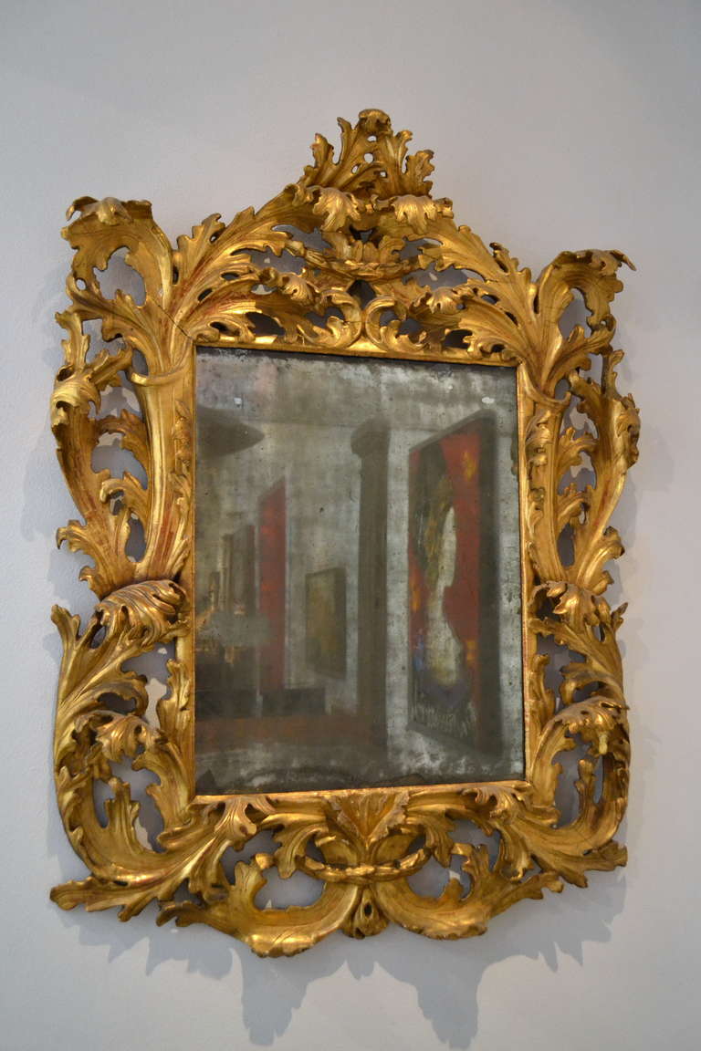 18th Century and Earlier Very Fine Large 17th Century Italian Baroque Carved Wood Mirror