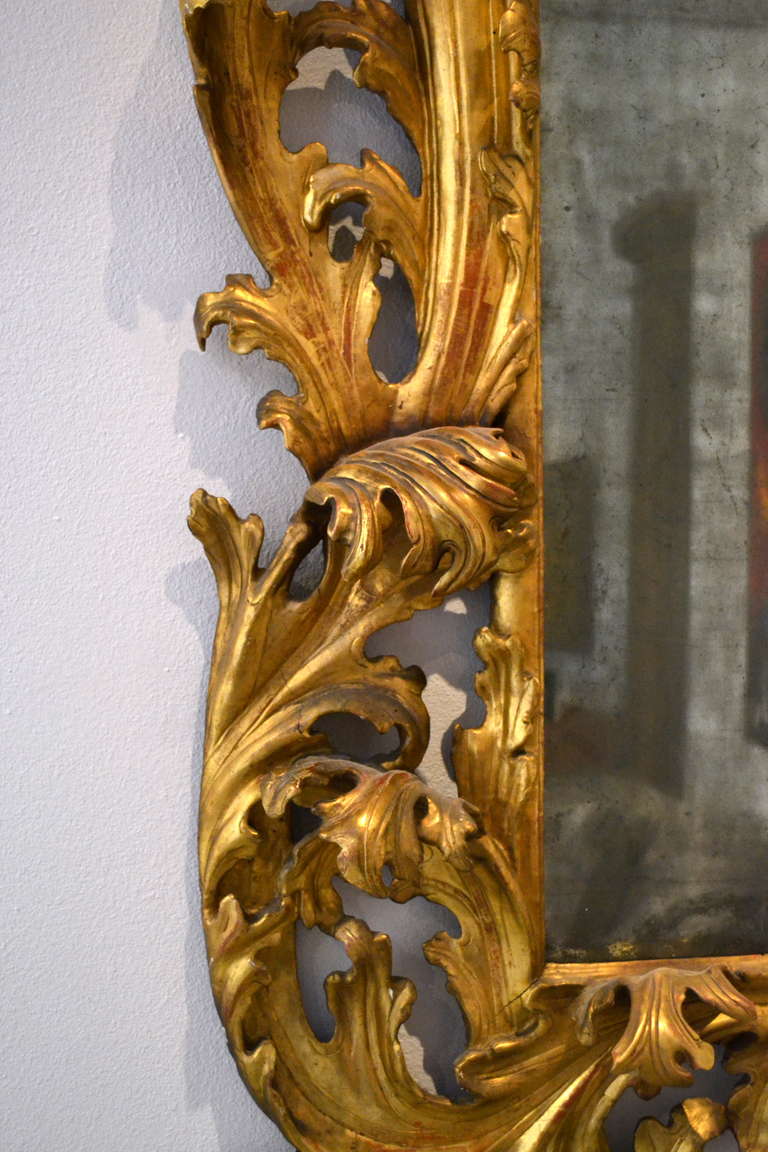 Very Fine Large 17th Century Italian Baroque Carved Wood Mirror In Good Condition In Cathedral City, CA