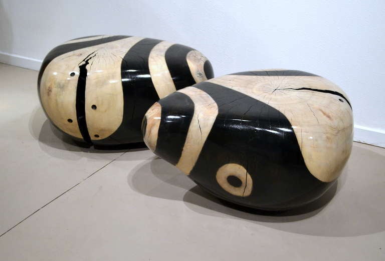Dramatic Pair of Wood Carved Seats by Daniel Pollock 2