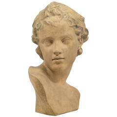 French Antique Bust of Adonis