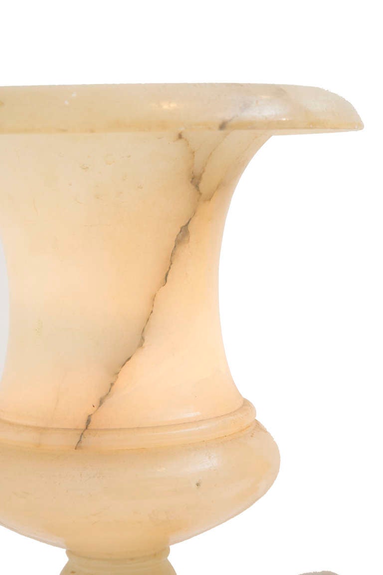 Art Deco Pair of Italian Alabaster Medici Urn Table Lamps 3