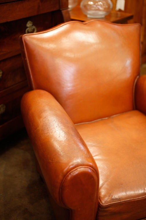 Lambskin Art Deco Leather 