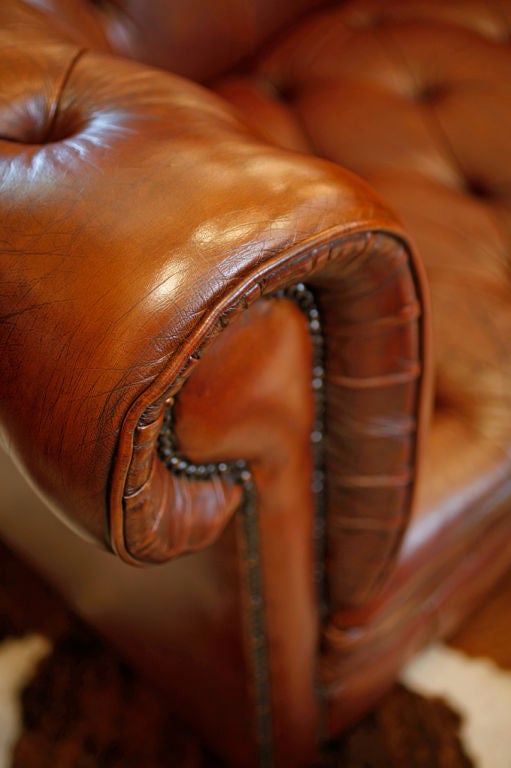 Vintage Havana Leather Chesterfield Sofa 1