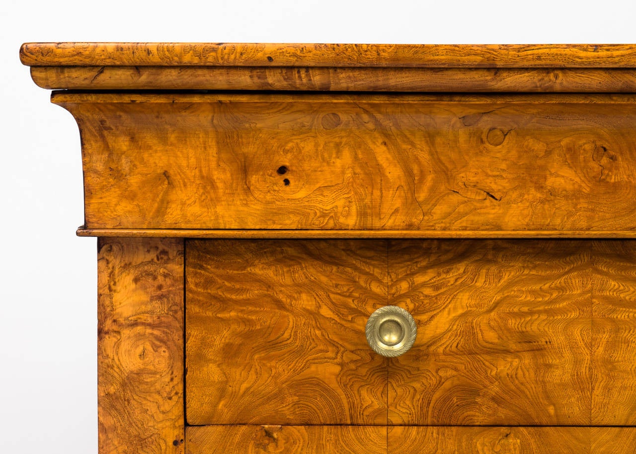 French Charles X Period Burl Elm Chest of Drawers 1