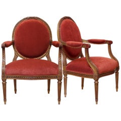 Pair of Louis XVI Gold Leafed & Hand Carved Armchairs