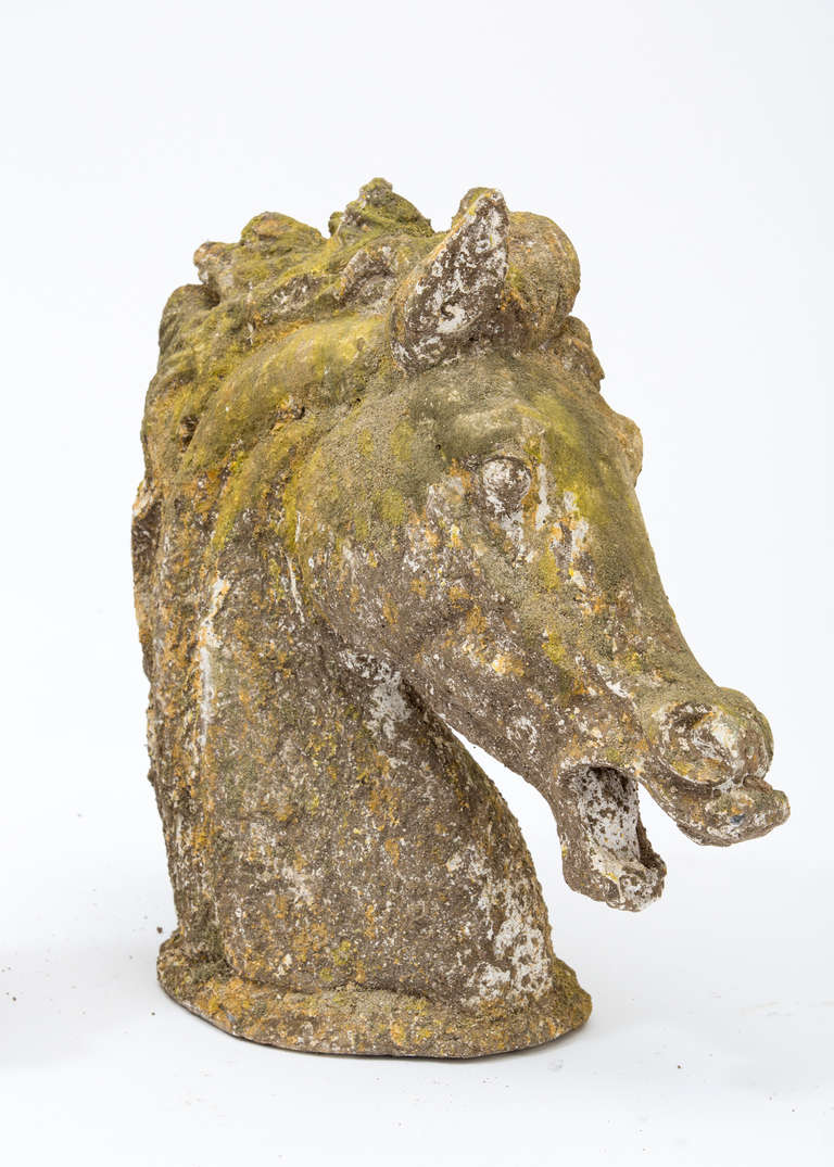 French Pair of Stone Horse Heads 2