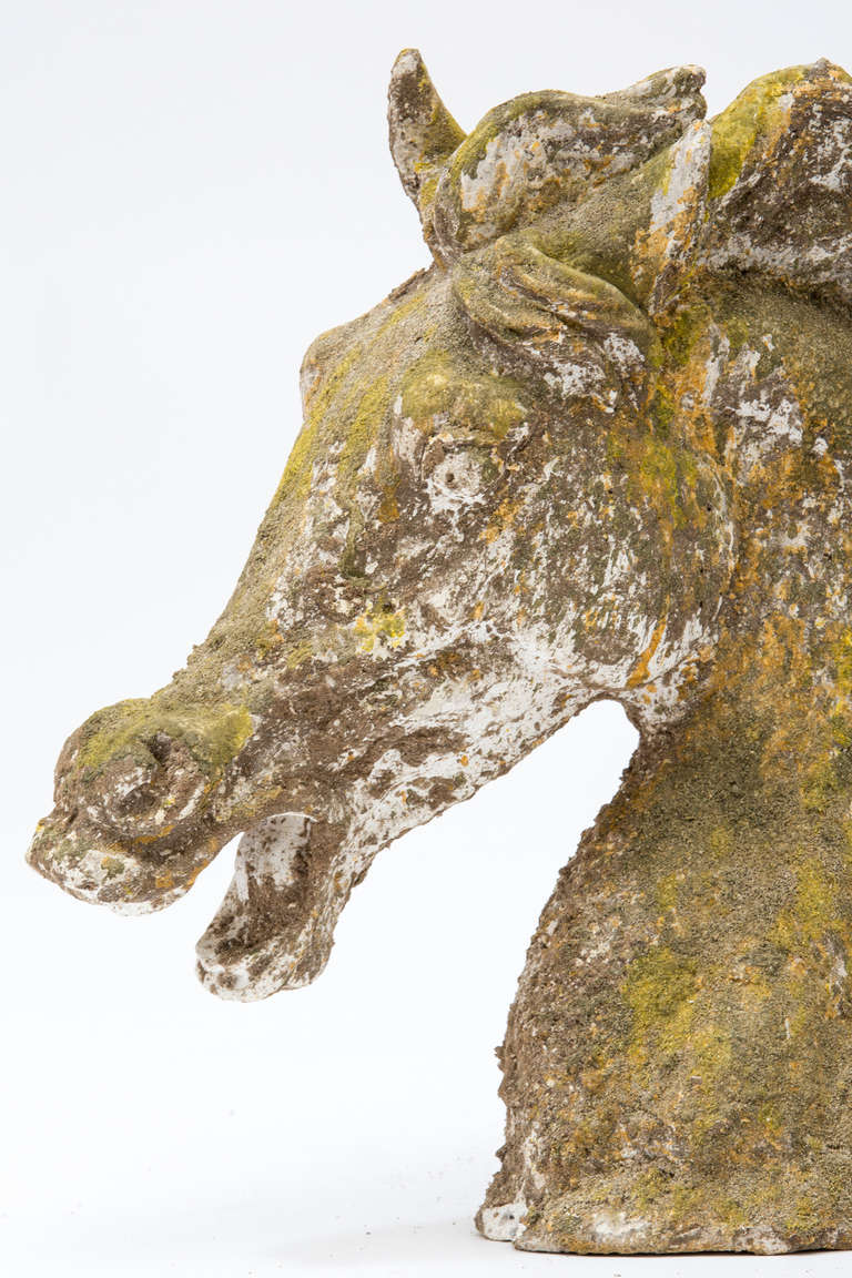 French Pair of Stone Horse Heads 4