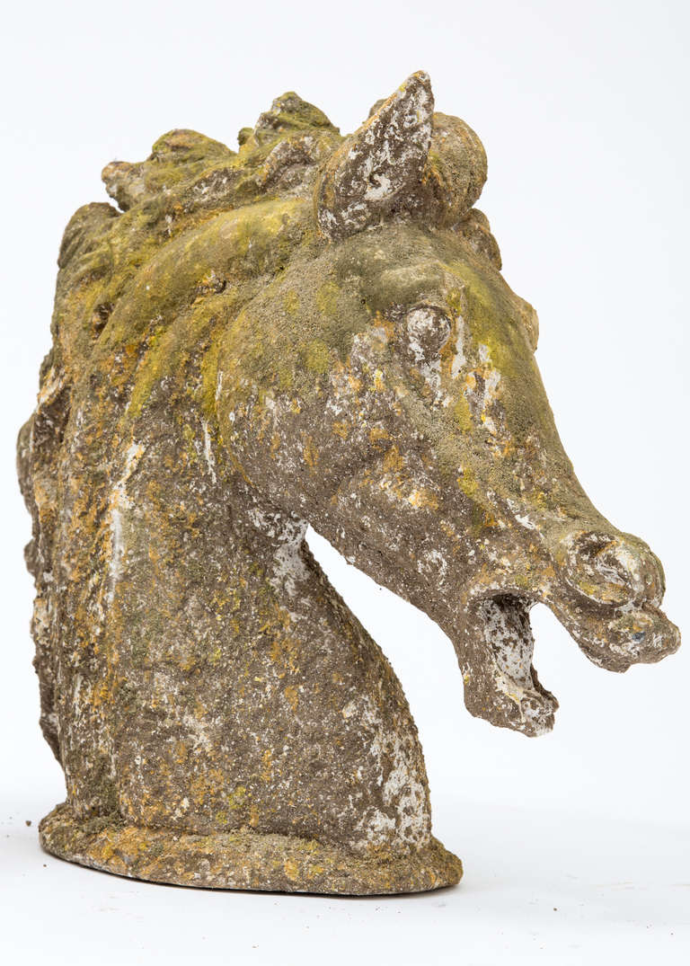 French Pair of Stone Horse Heads 5