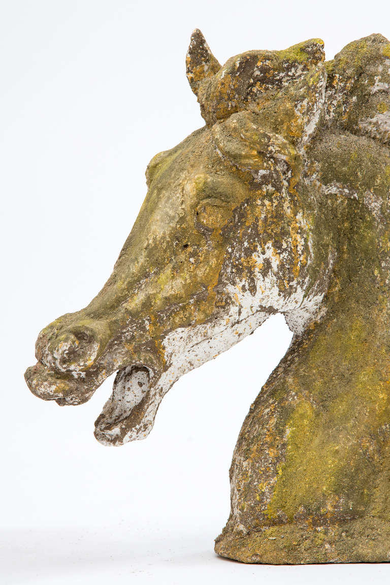 French Pair of Stone Horse Heads 6