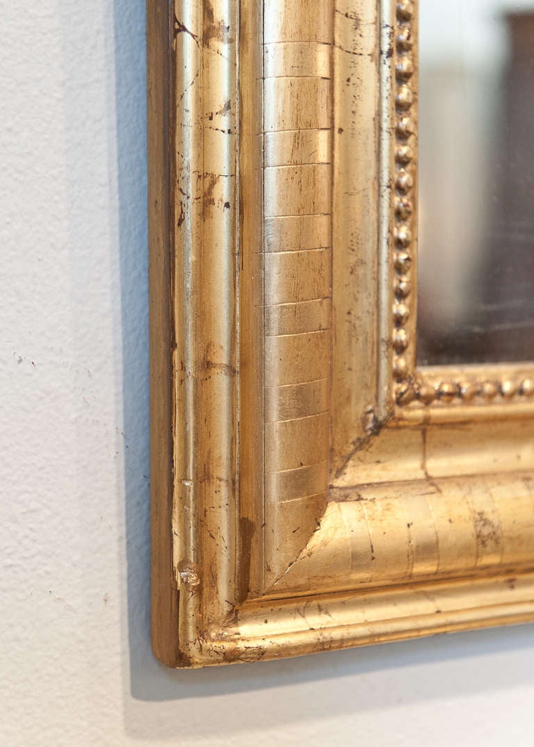Pair of Louis Philippe Period Gold Leaf Mirrors 4