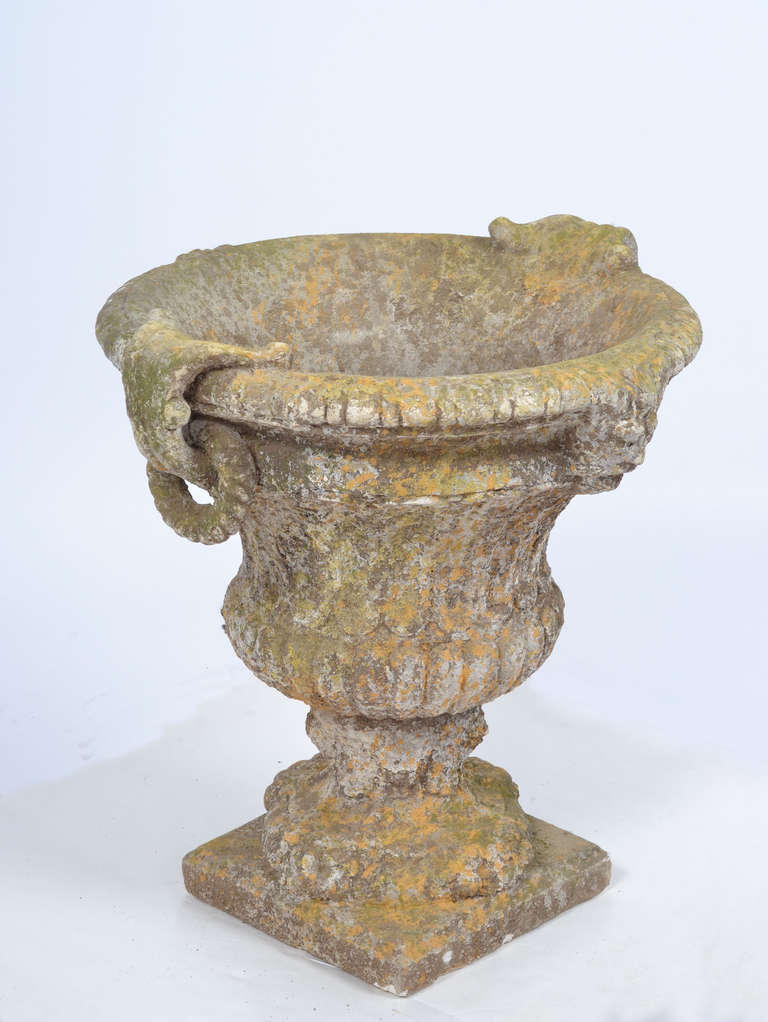 French Pair of Vintage Patinated Stone Medici Urns