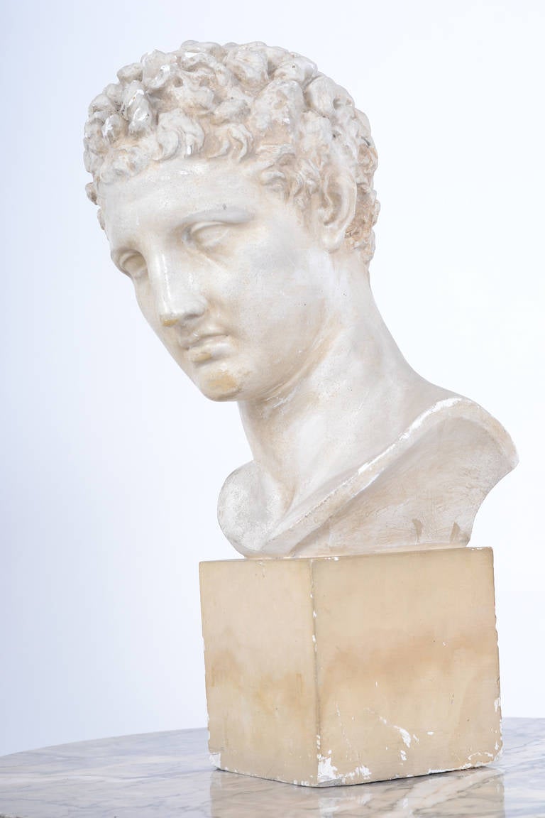 French 19th Century Bust of Hermes in Plaster