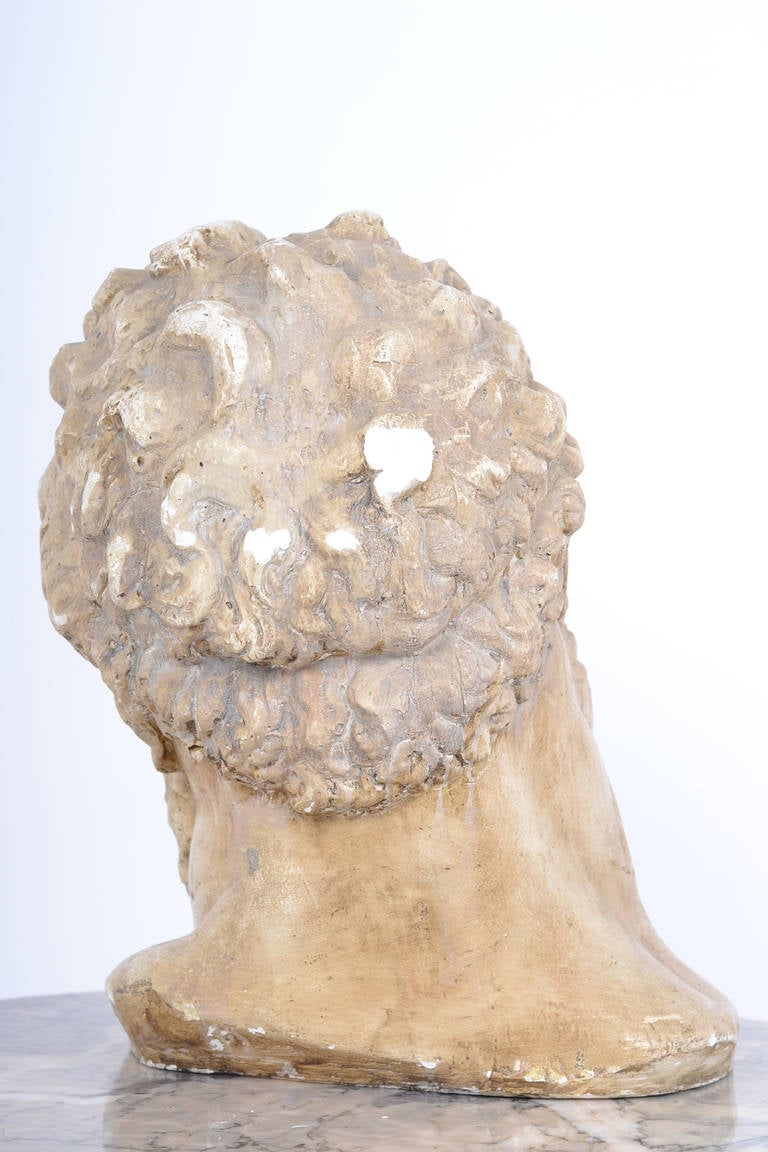 French Antique 19th Century Bust of Hercules In Good Condition In Austin, TX